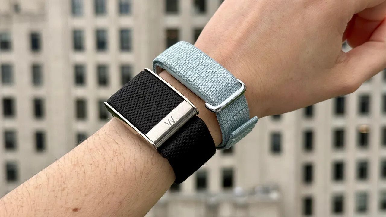 fitbit 1.webp