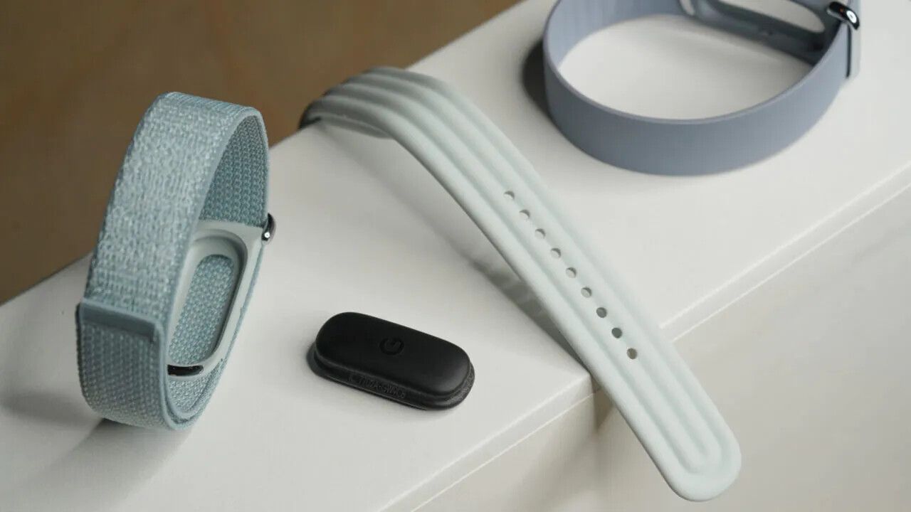 fitbit 2.webp